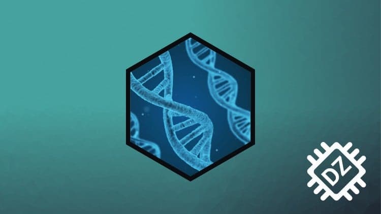 Python: Bioinformatics Sequenzanalyse Alignment Algorithmen