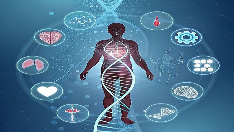 medical genetics learn abnormal human variations
