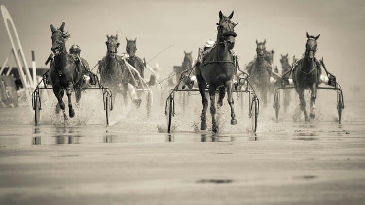 Lidera con confianza y brilla en entornos de cambio continuo