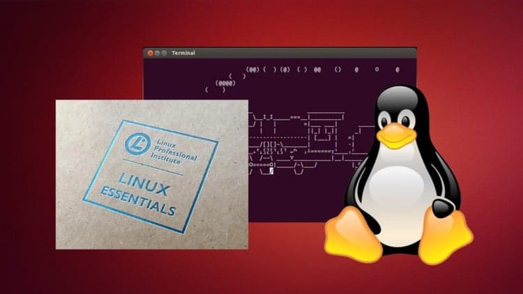 Linux с нуля до сертификата