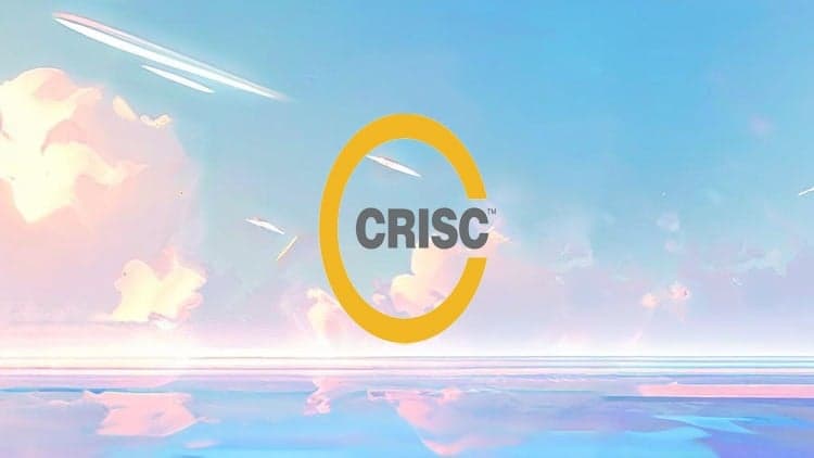 CRISC Certification Prep Course: 6 Practice Exams