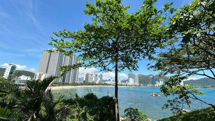 Dẫn dắt Thay Đổi trong Kỷ nguyên AI đầy biến động