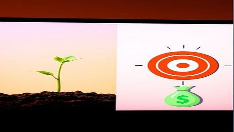 Build, Market, and Manage a Successful Online Business