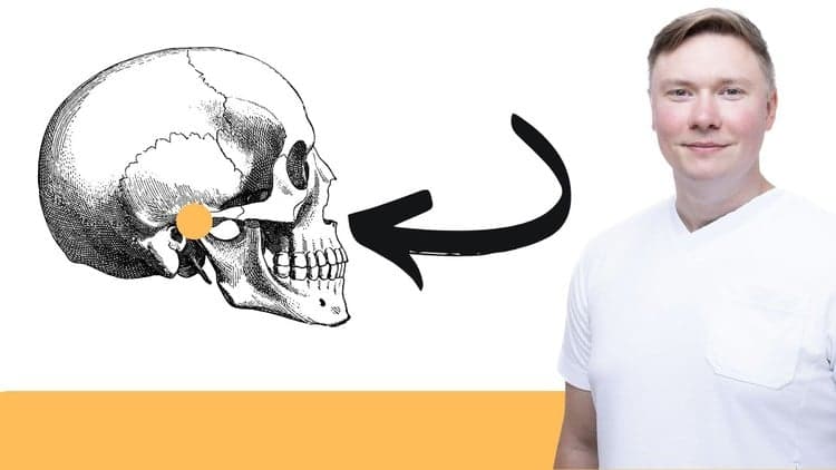 Das Kiefergelenk verstehen - Werde dein Kiefercoach
