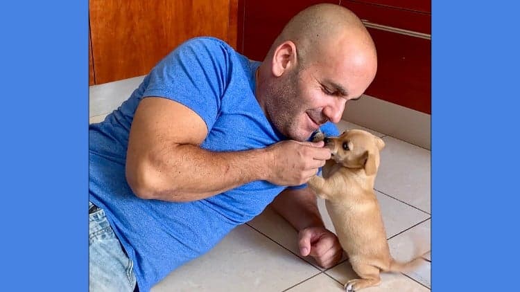 Puppy Training Basics: A Practical Guide for the First Weeks