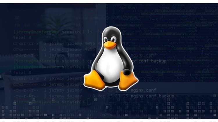 Linux: From Beginner to System Administrator