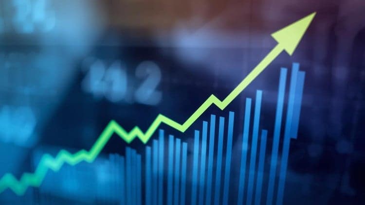 Total Beginner value investing for shares with Aunty mindset