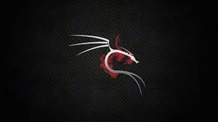Kali Linux for Pentesters and Ethical Hackers Practice Tests
