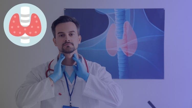 Thyroid Care: Hypothyroidism, Disorders Management - Mastery