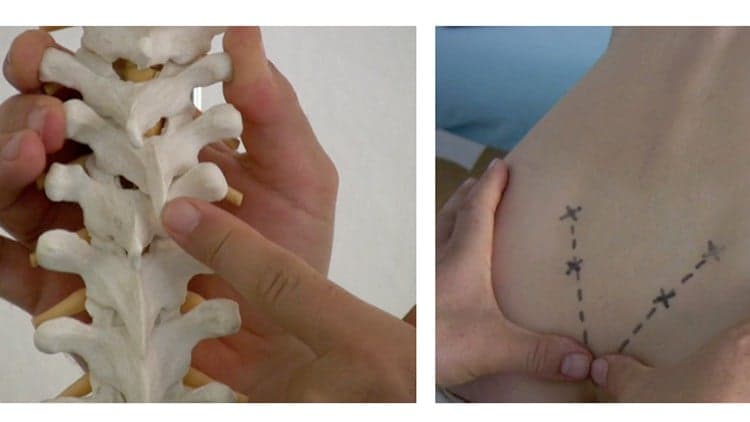 Spine healing with the DORN-Method - Preventing back pain!