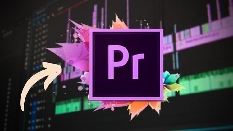 Premiere Pro Masterclass: Beginner to Advanced Video Editing